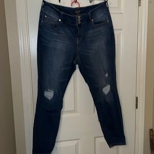 Torrid Jeans